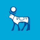 NVO logo